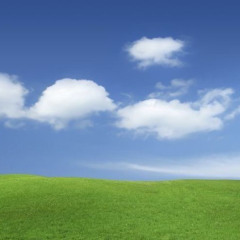 off the brain freestyle!