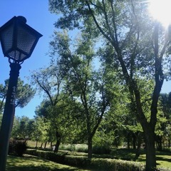 compo20210815 (Esplendor)