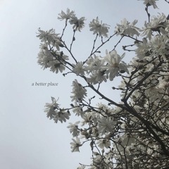 a better place