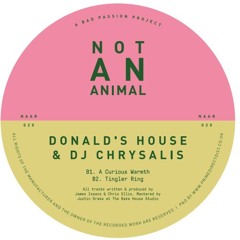 PREMIERE: Donald's House & DJ Chrysalis - Tingler Ring