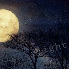Andrea Gambardelli - Night light
