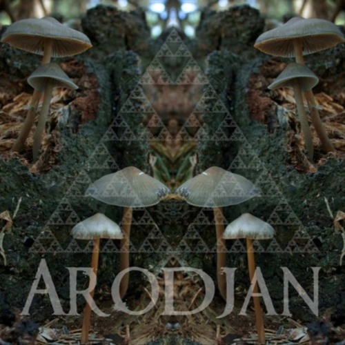 Arodjan - Redkite ( 150 BPM)