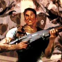 The Harmer - Killed by a Crow