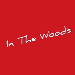 In The Woods RMX