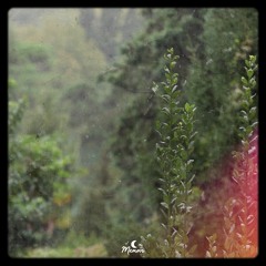 Sayl - Longing