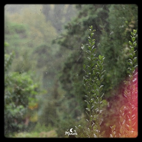 Sayl - Longing