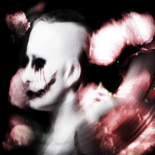 Beautiful Disaster
