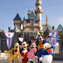 Disneyland is your land
