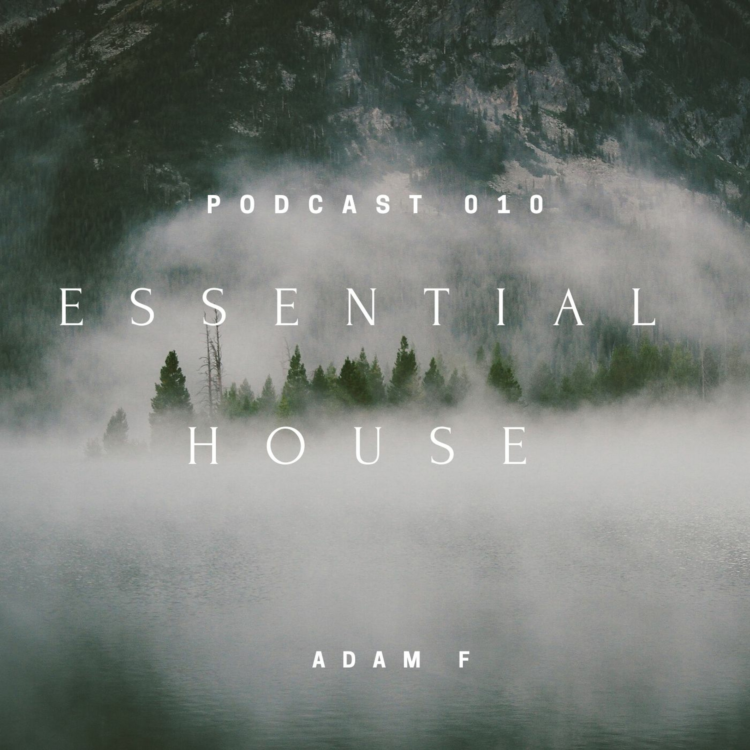 Essential House 010