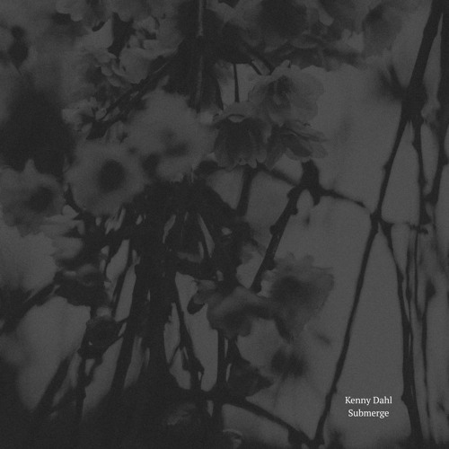Kenny Dahl  - Submerge  ( Milo Raad Remix
