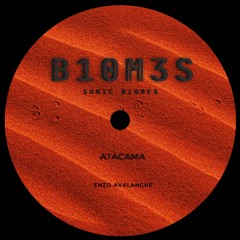 ATACAMA - Enzo Avalanche