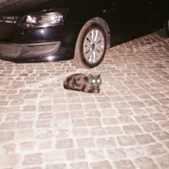 MY BLUEBERRY LIFE W/ MARIPOOL  250721