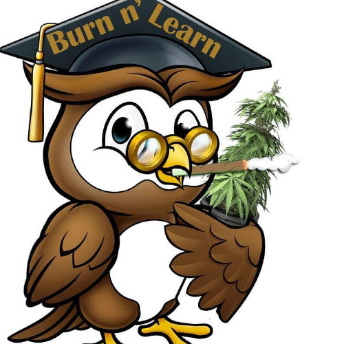 Burn and Learn (Connecticut High) - 7:15:25, 2.51 PM