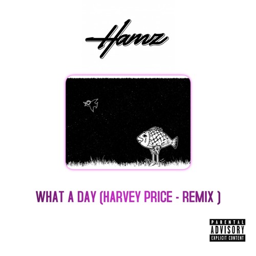 What A Day (Harvey price - remix)  - HAMZ (FREE DOWNLOAD)