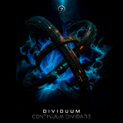 Dividuum - Coninuum Dividare (seamless mix)