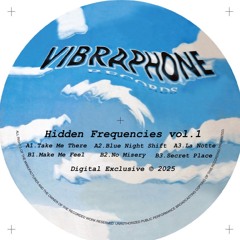 Hidden  Frequencies vol.1