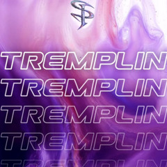 Tremplin Insane 2026