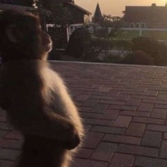 Third Floor Deep House Mix