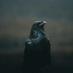 Odin