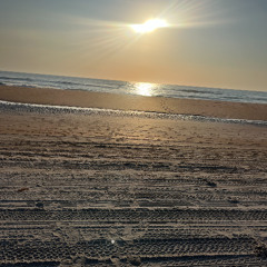 lets_go_make_some_love