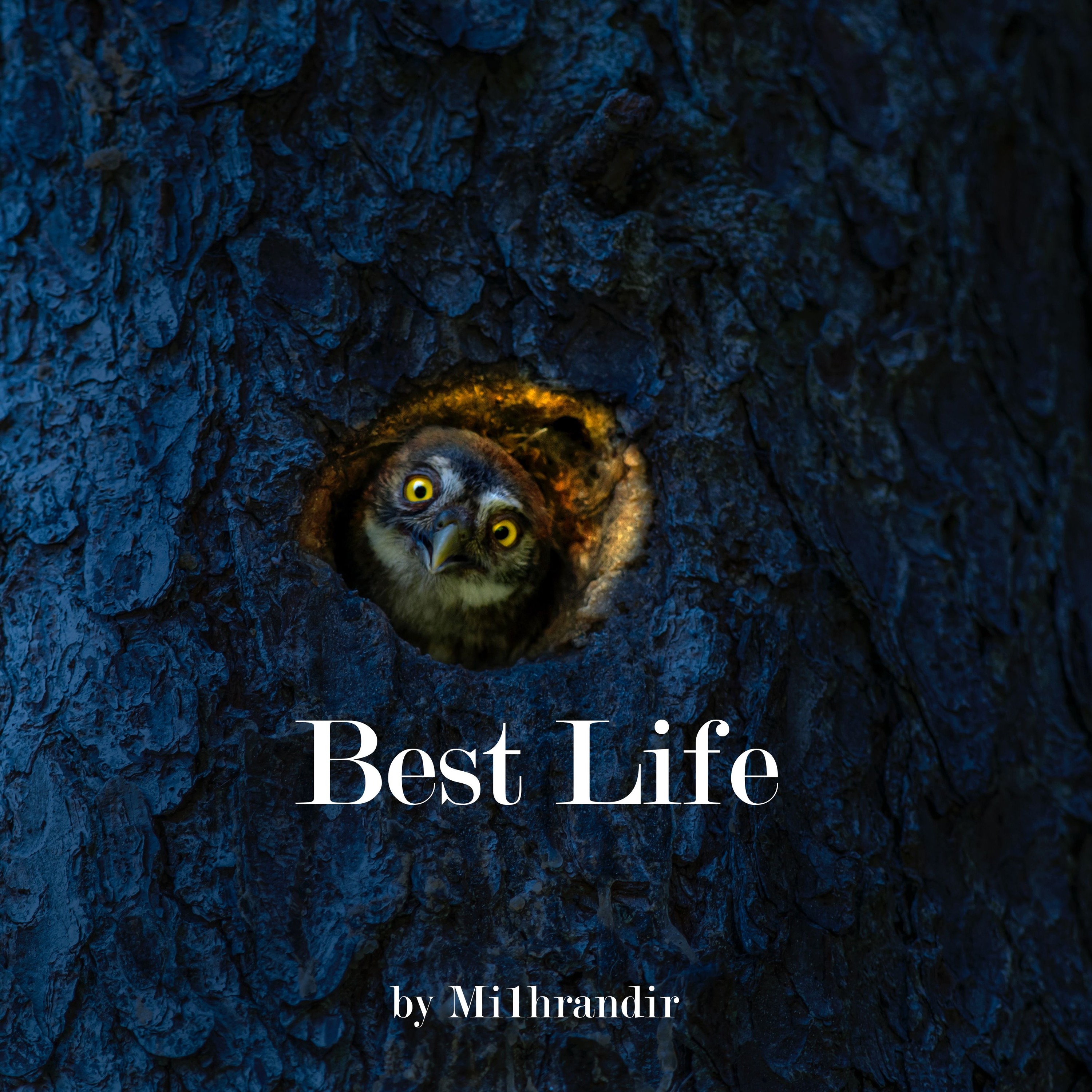 Track cover