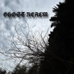 GHOST REALM (Prod.VRYNOAH)