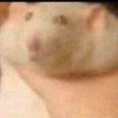 Deep Neon  Meme(good audio)