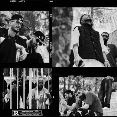 Salatin - Javid X Orooj X Kardan X Mahali