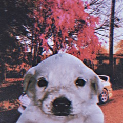 Wenomechainsama phonk remix