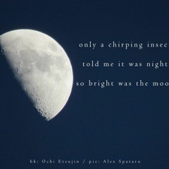 Call It A Night (naviarhaiku363)