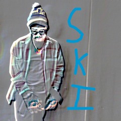 Ski feature