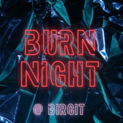 Burn Night - Birgit & Bier - Psychedelic Playground