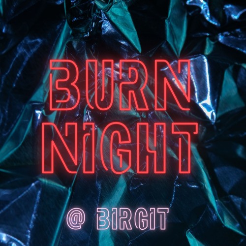 Burn Night - Birgit & Bier - Psychedelic Playground