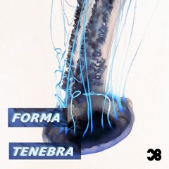 Forma Tenebra - Candles From Enamel