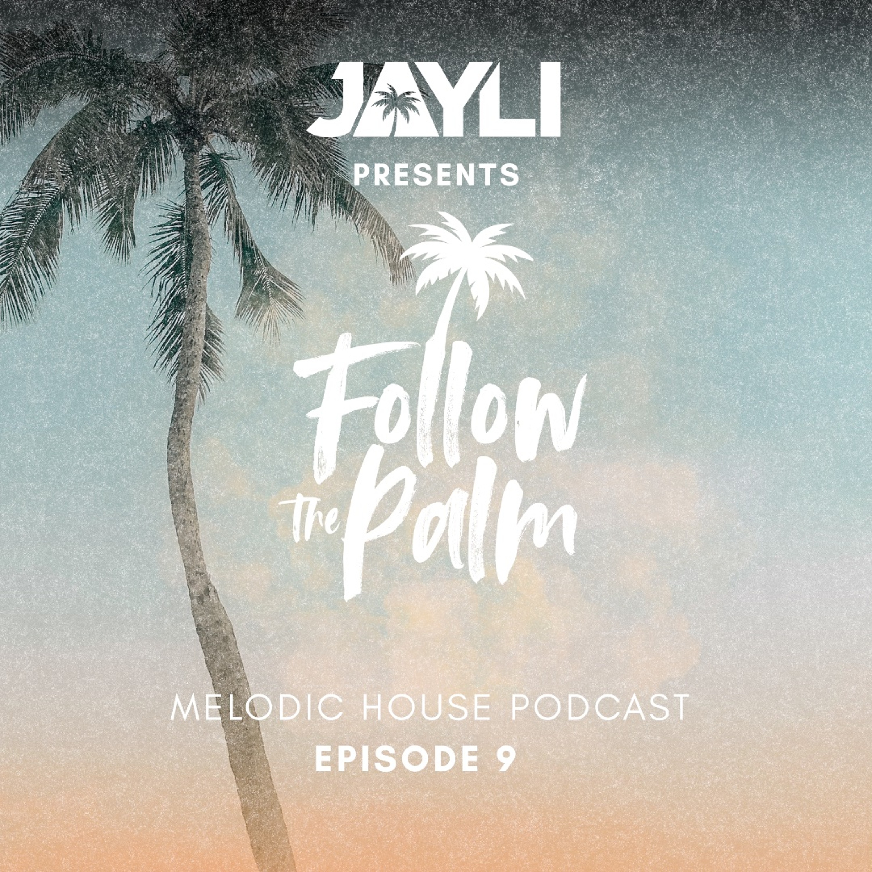 Folllow the palm ep 9 episode artwork