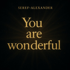 You are wonderful