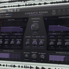 Cinematic Rooms  | Acoustics 1  | Ambiences | Court