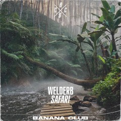 BC103 // WelderB - Safari