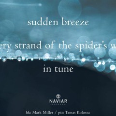 Sudden Breeze  (Naviarhaiku 473 )