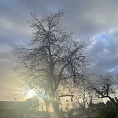 G Team 2 (feat. TrxpRickz, TeFlonDon, gav) [prod. gav]