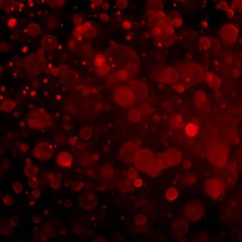 Knivez - What You Want