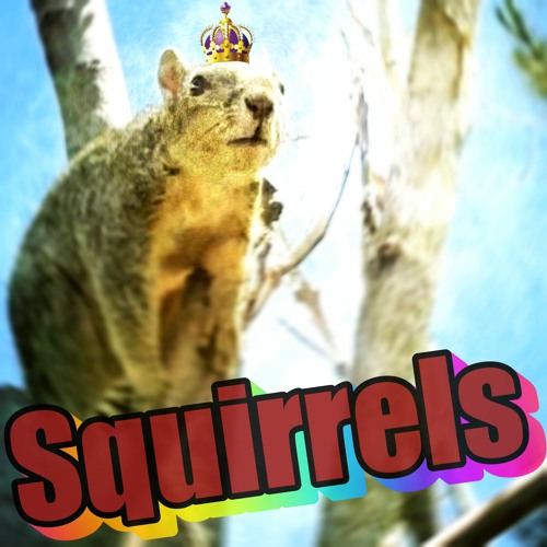 Squirrels