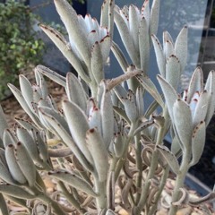 What Is "worldliness"?