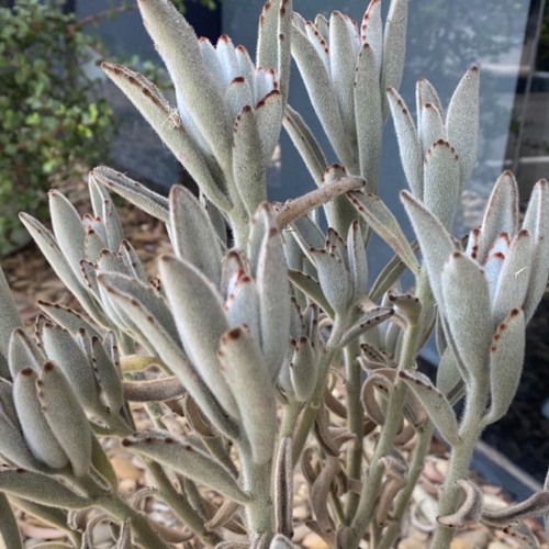 What Is "worldliness"?