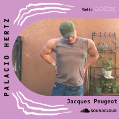 Palacio Hertz 01 · Jacques Peugeot