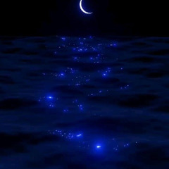 Flotee (prod. dxnji)