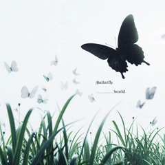 Bloomer - Butterfly World