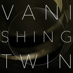 Vanishing Twin