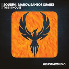 Soulemi, Maroy, Santos Suarez - This Is House (Original Mix)