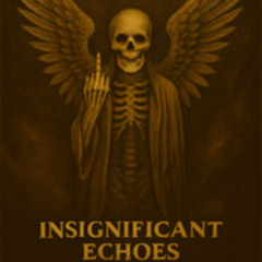 Insignificant Echoes